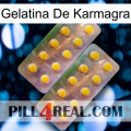 Karmagra Jelly new10